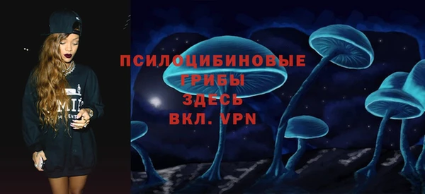 сатива Лабытнанги