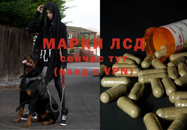 герыч Арсеньев