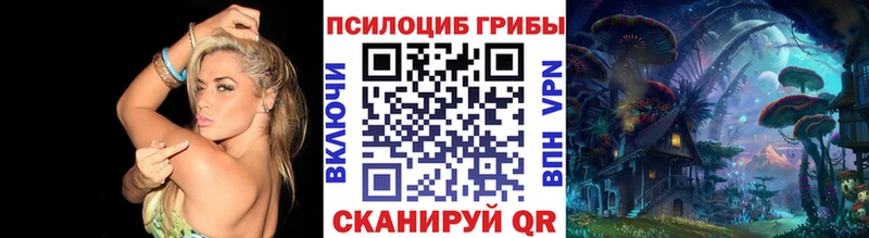 Псилоцибиновые грибы GOLDEN TEACHER Липки